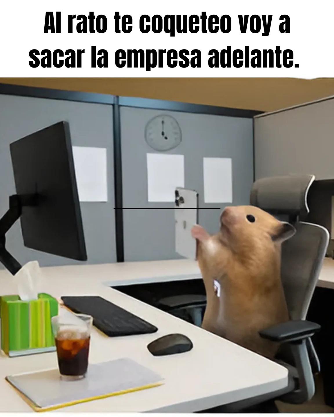 Produc... - Productos Innovadores y Sustentables - Que Hay SLP
