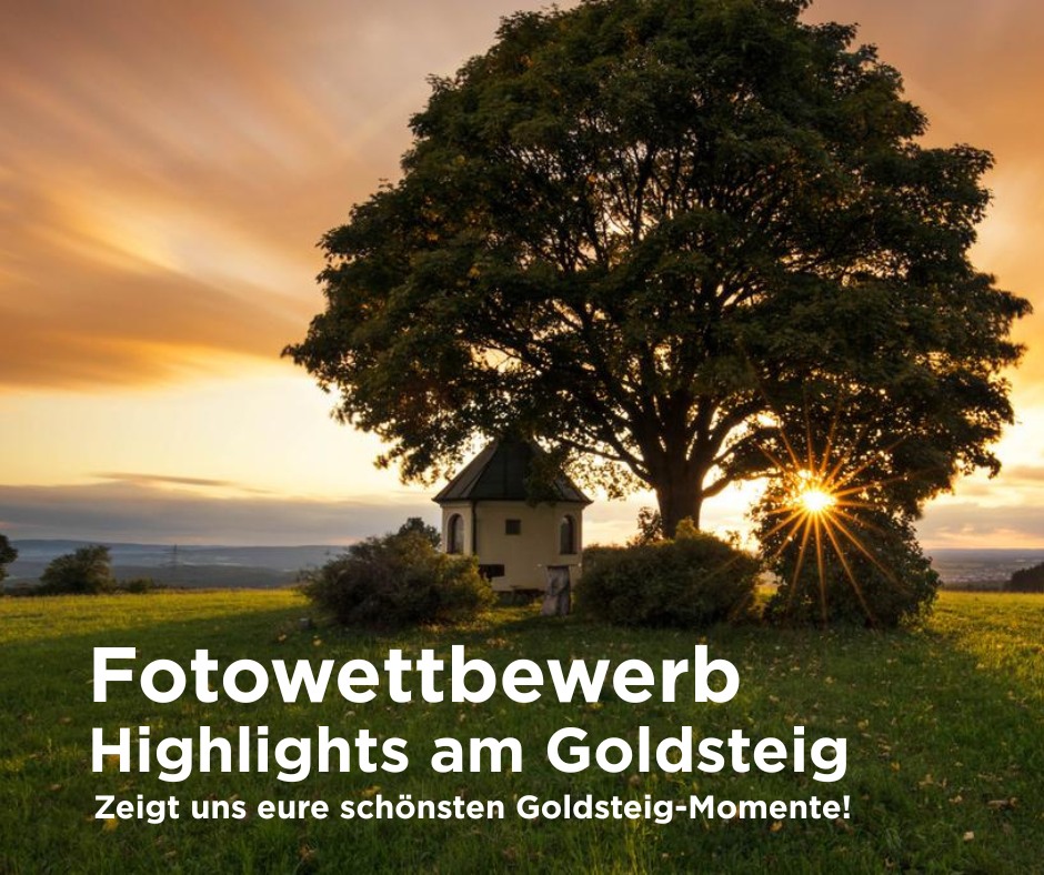 Zeig Uns Deine Bilder Com
