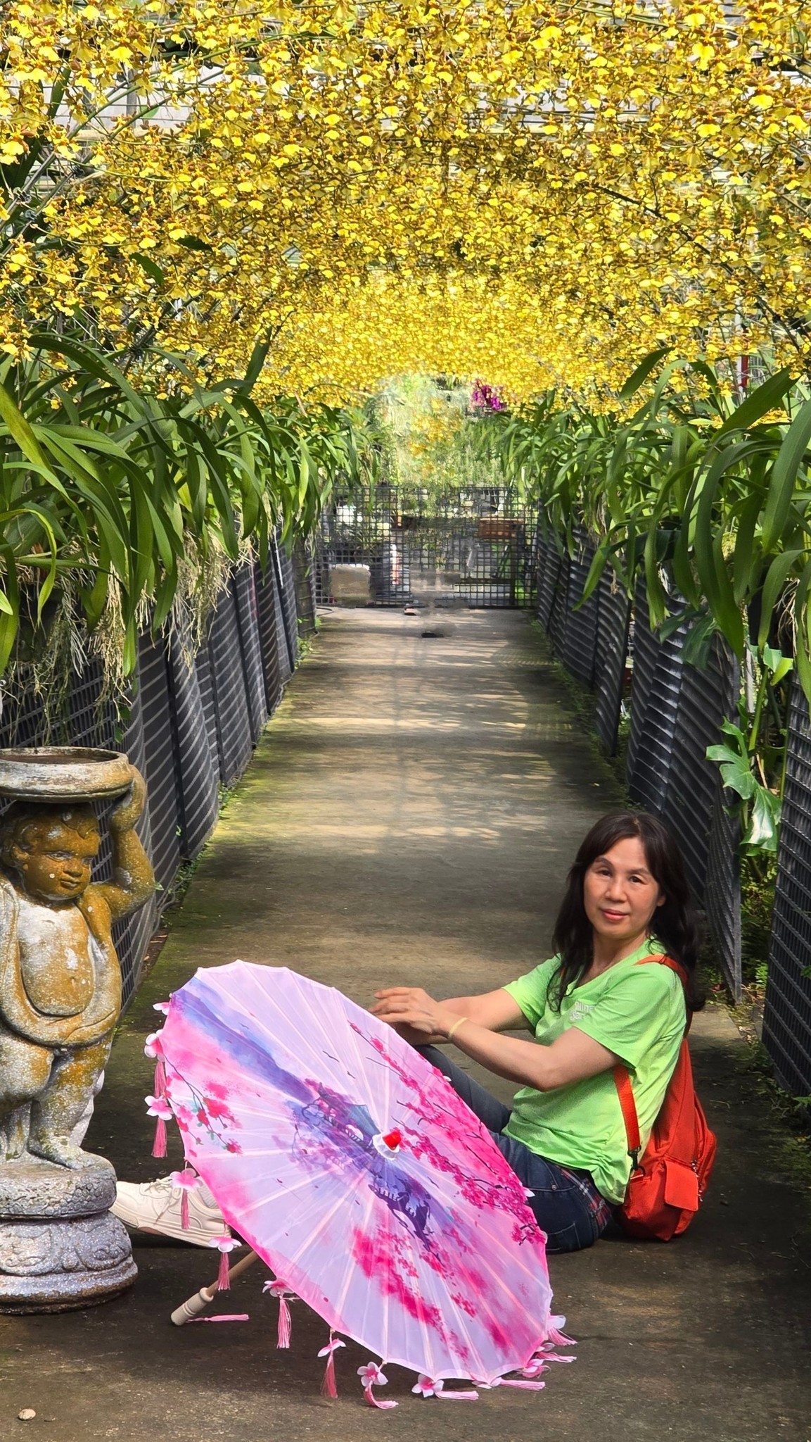 文心蘭黃金隧道美拍~