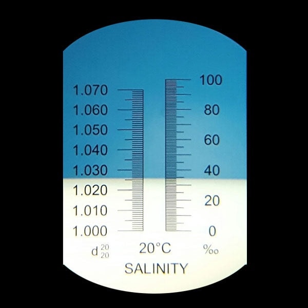 avea_reef - 🌊 Ideal Salinity for a Reef Aquarium 🌊 For a... | Facebook