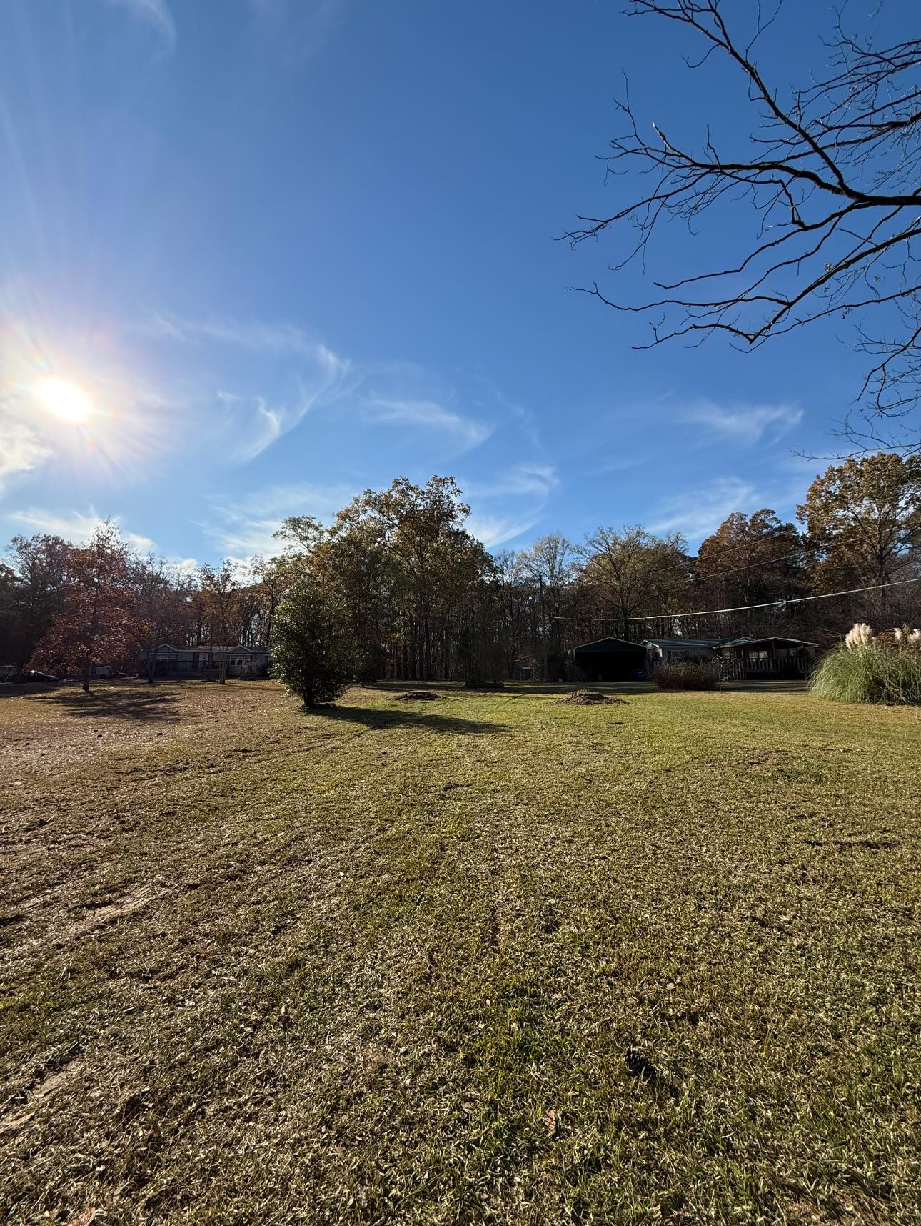 Harris Tree Service | Springville AL
