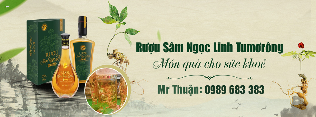 Sâm Ngọc Linh Tumorong Kom Tum
