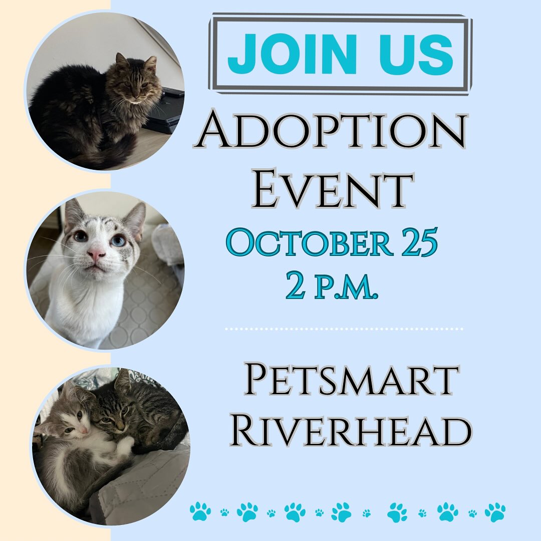 🐾 Mark Your Calendars! 🐾 We’re excited to announce our upcoming Cat ...