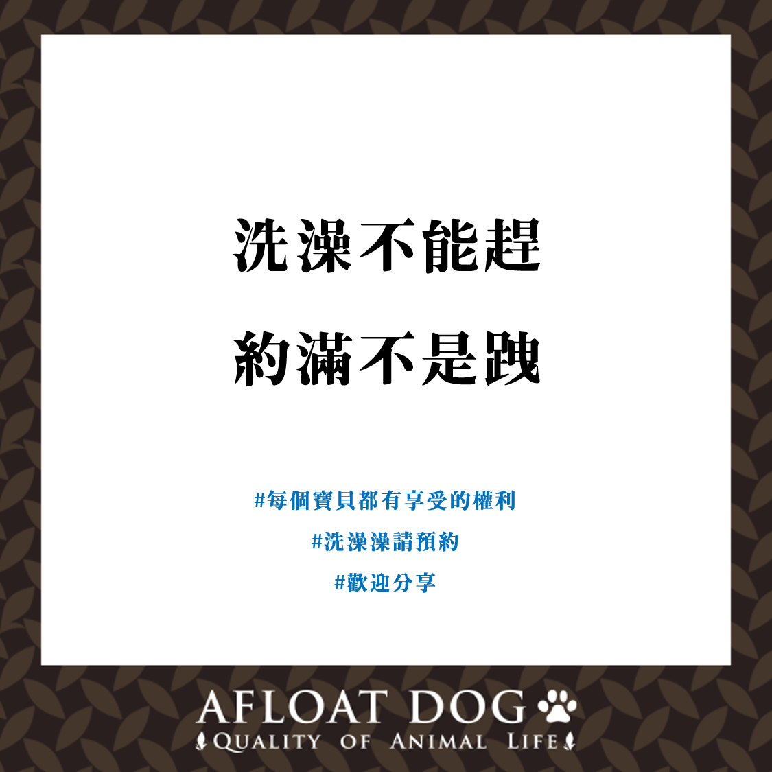 艾芙樂 afpet TW - 【寵語錄📜】預約免白跑 洗澡沒煩惱 夏天到了比較多寶貝要預約洗澡...