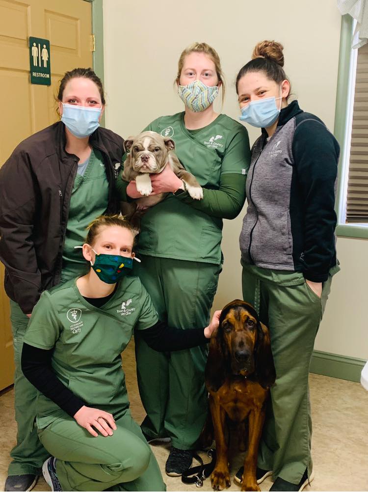 We would like to send... - Town and Country Veterinary Clinic | Facebook