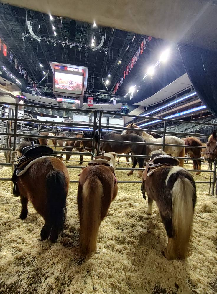 Diamond J. Ranch and Rodeo Co. | Oak Hill OH