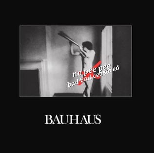 On this day in 1980, Bauhaus released “In the Flat Field.”