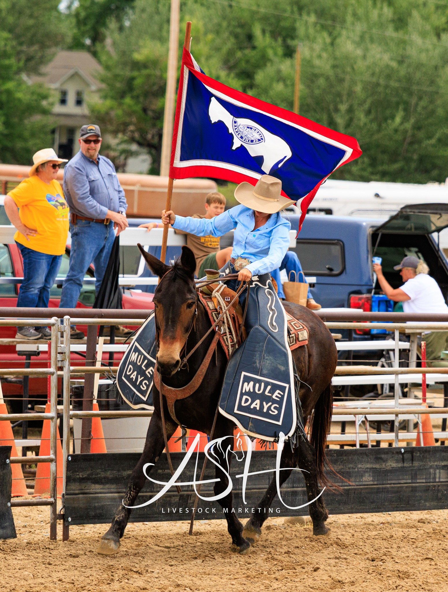 Jake Clark’s Mule Days added a... - Jake Clark’s Mule Days