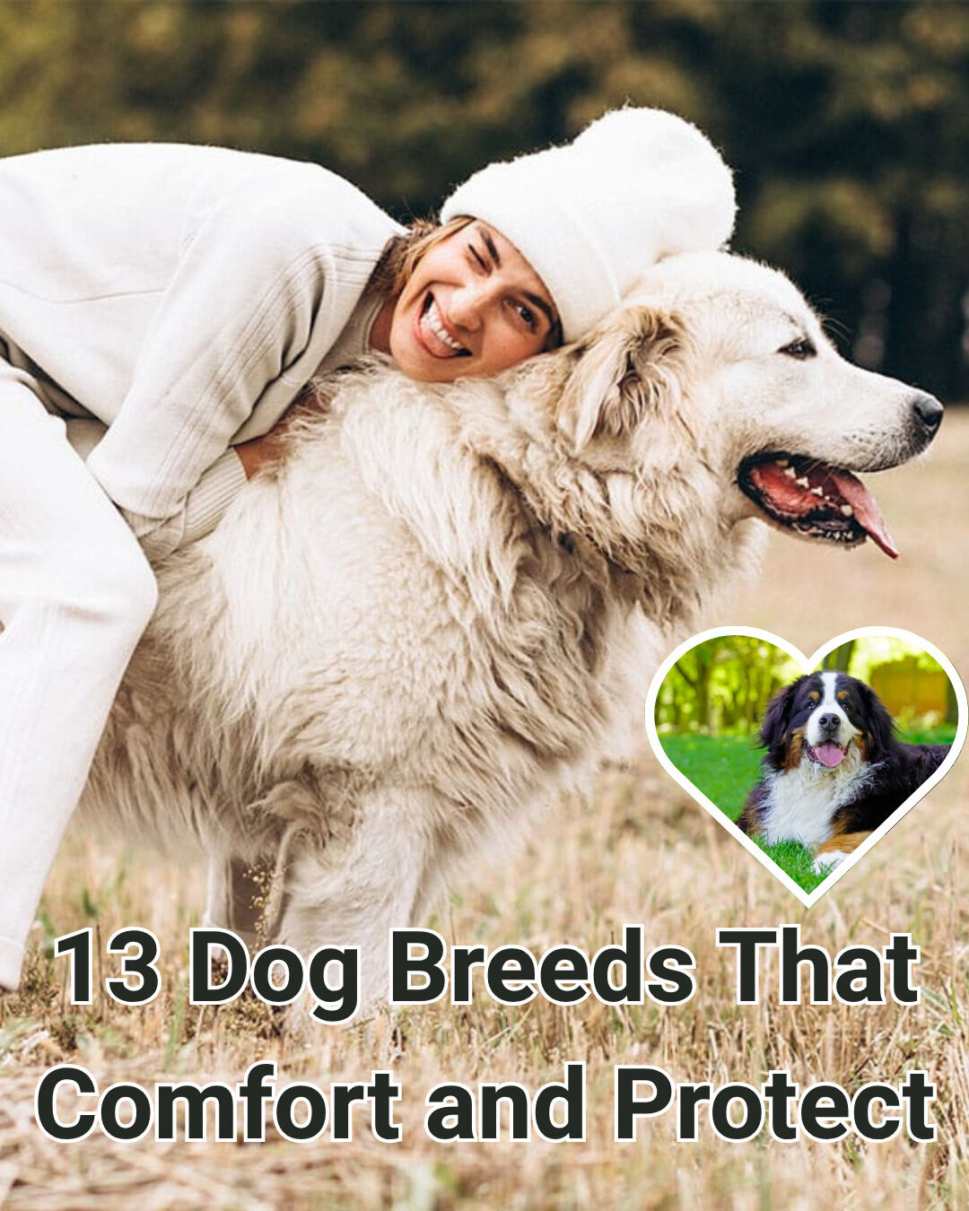 iHeartDogs - 🐾 These dogs guard your heart—and your front... | Facebook