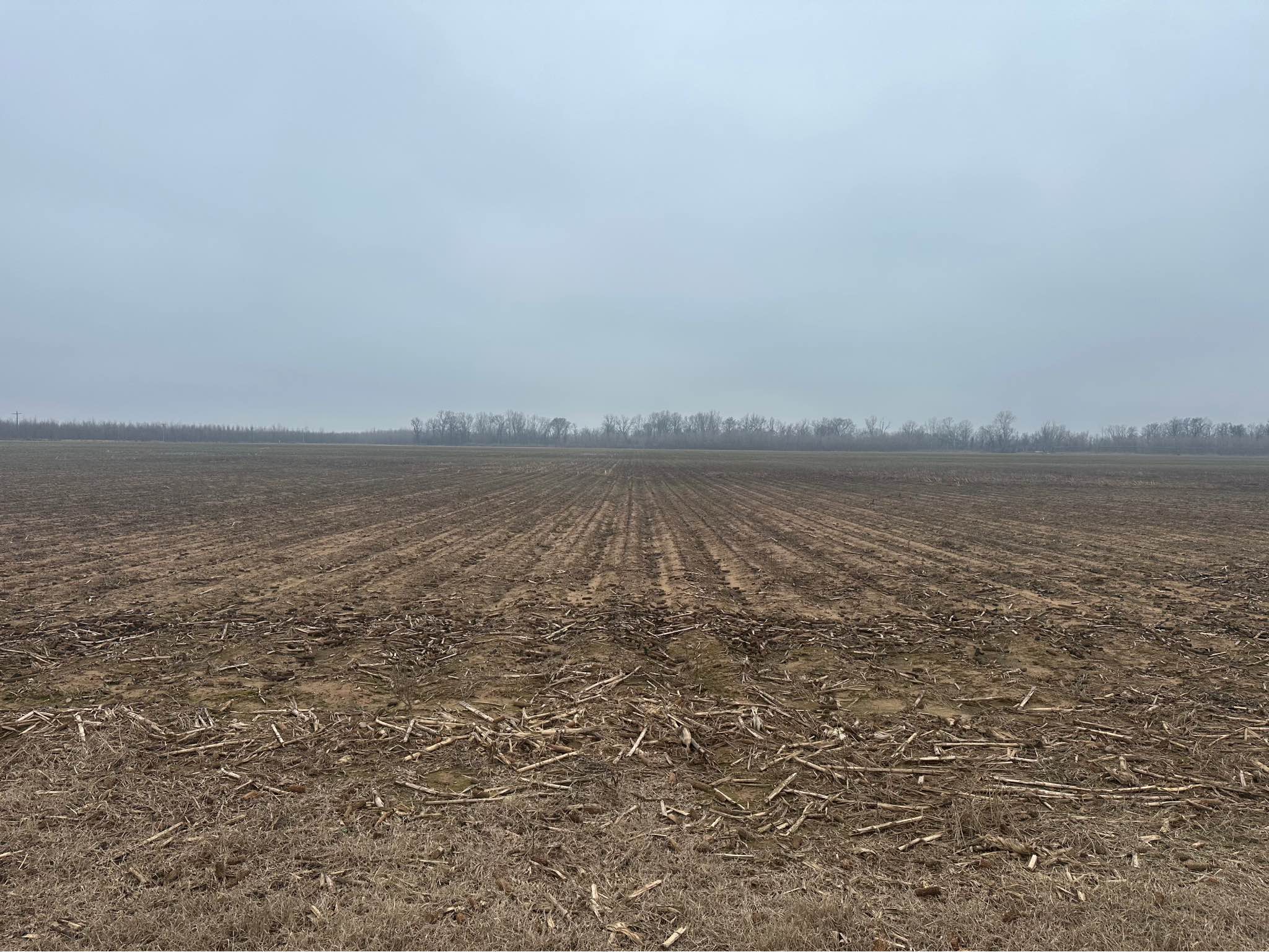 Duck Hunting & Farm Land FSBO - Property For Sale - Altheimer, Arkansas ...