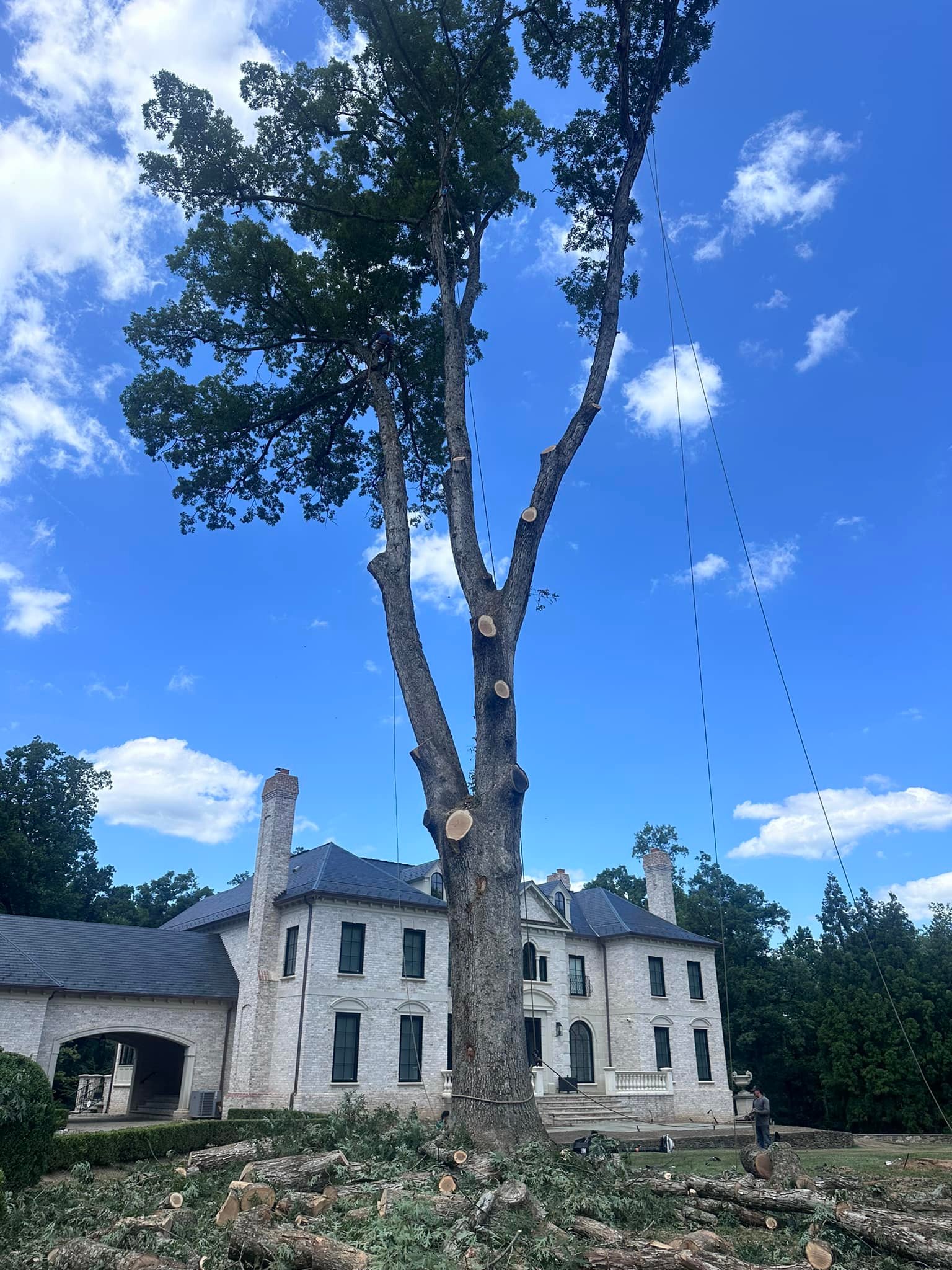 RGS Tree Service | Sterling VA