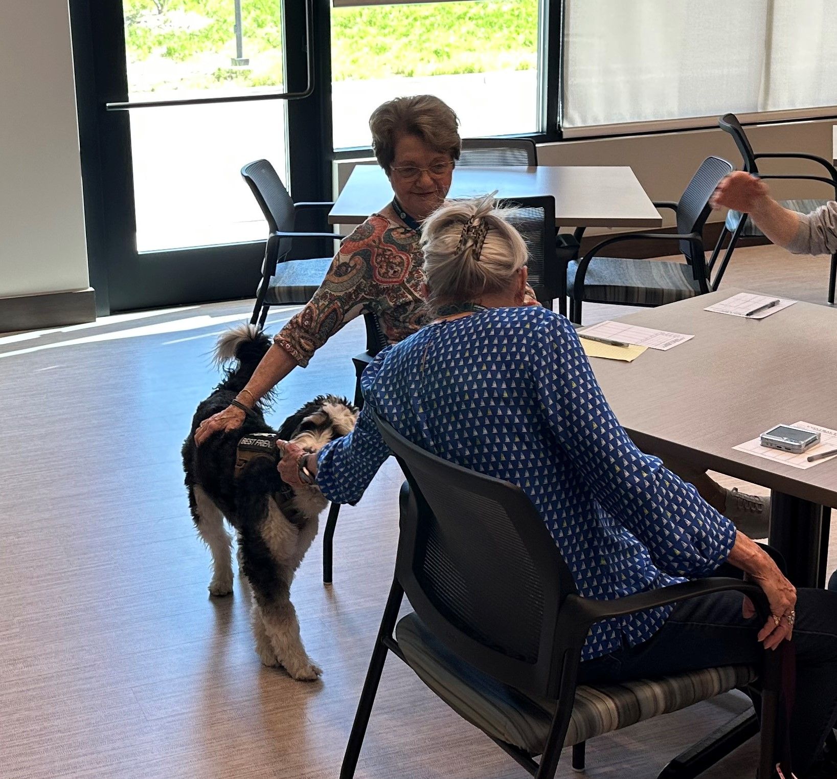 Douglas - Senior Resource Dog, Leo, really enjoys his time at the ...