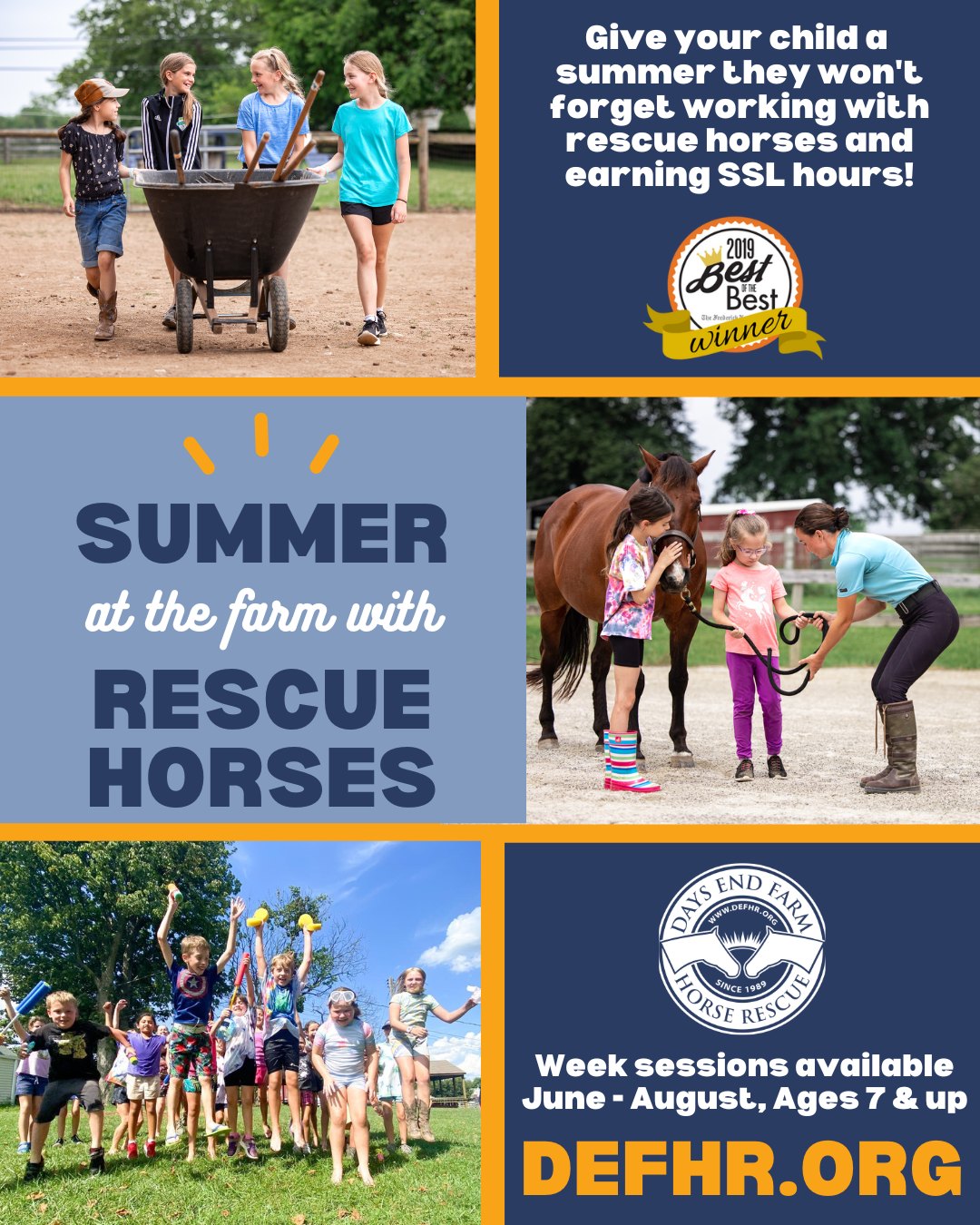 Days End Farm Horse Rescue - Our Executive Director, Erin Ochoa, is ...