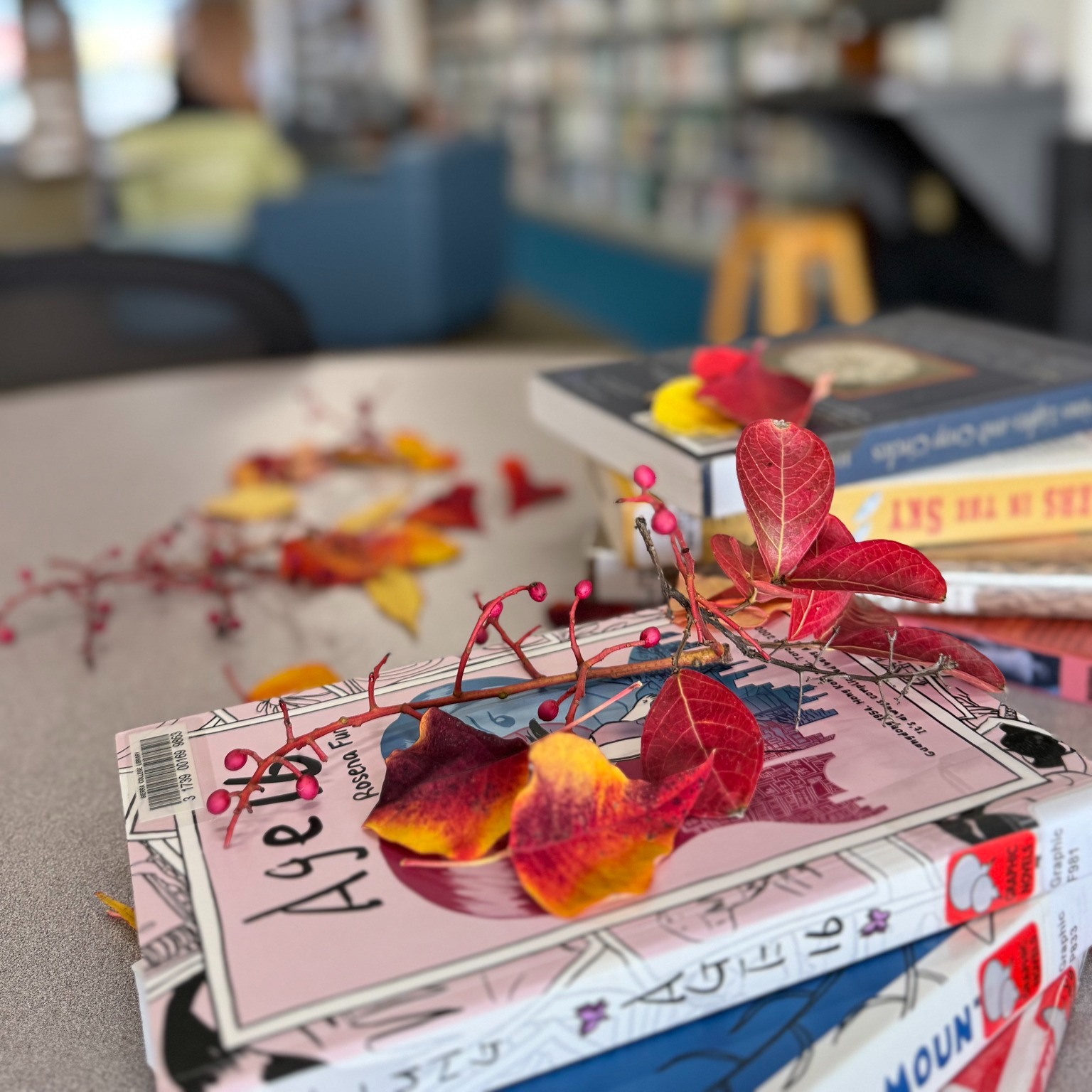 Sierra College Library | Rocklin CA