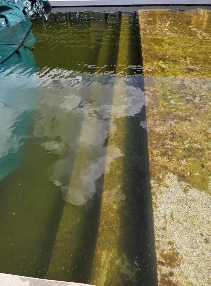 Marco Pools | Cape Girardeau MO