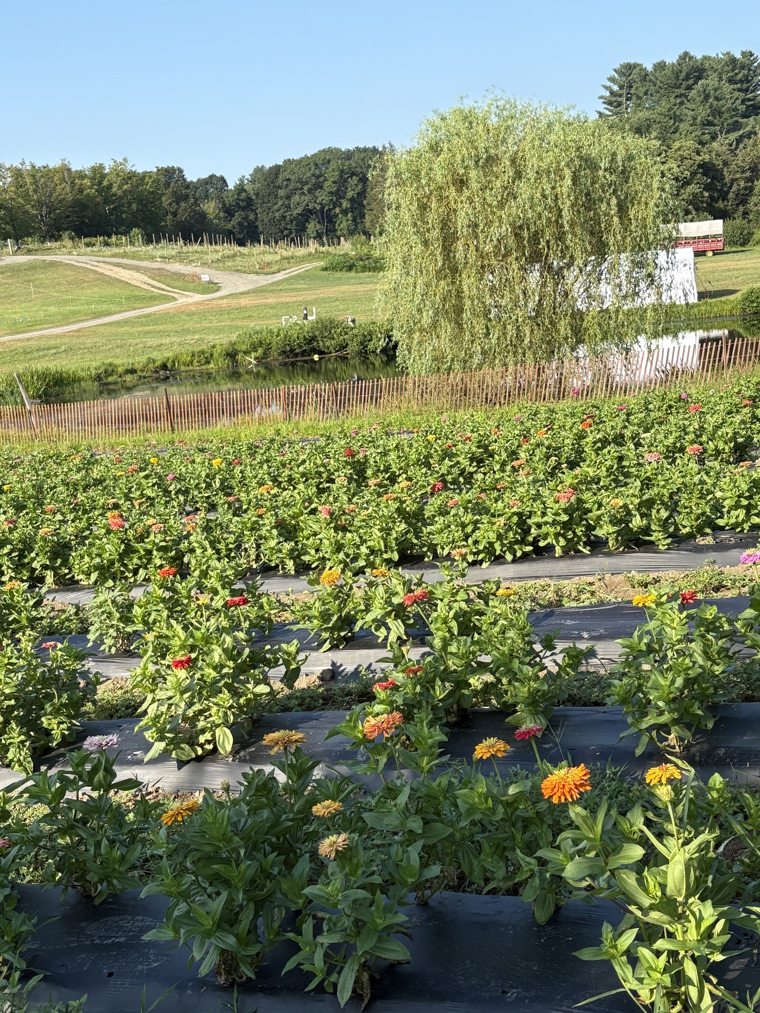 Smolak Farms | North Andover MA