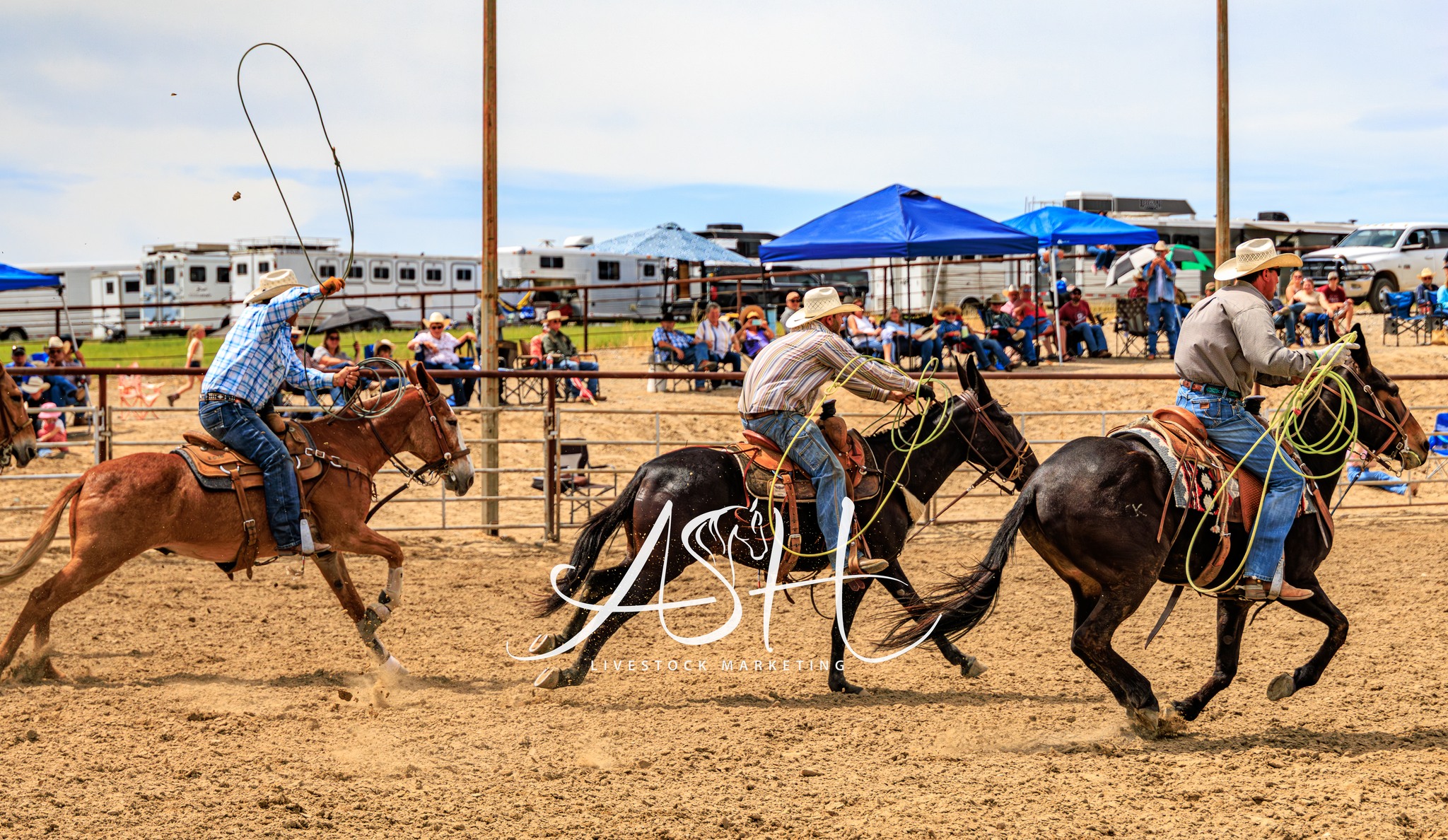 Jake Clark’s Mule Days added a... - Jake Clark’s Mule Days
