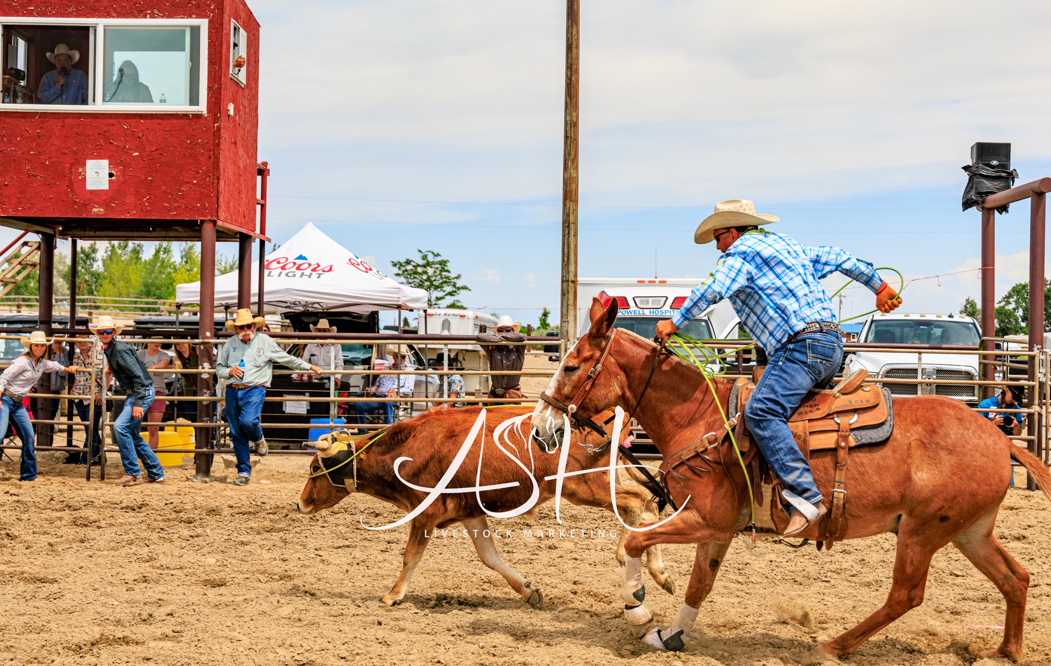 Jake Clark’s Mule Days added a... - Jake Clark’s Mule Days