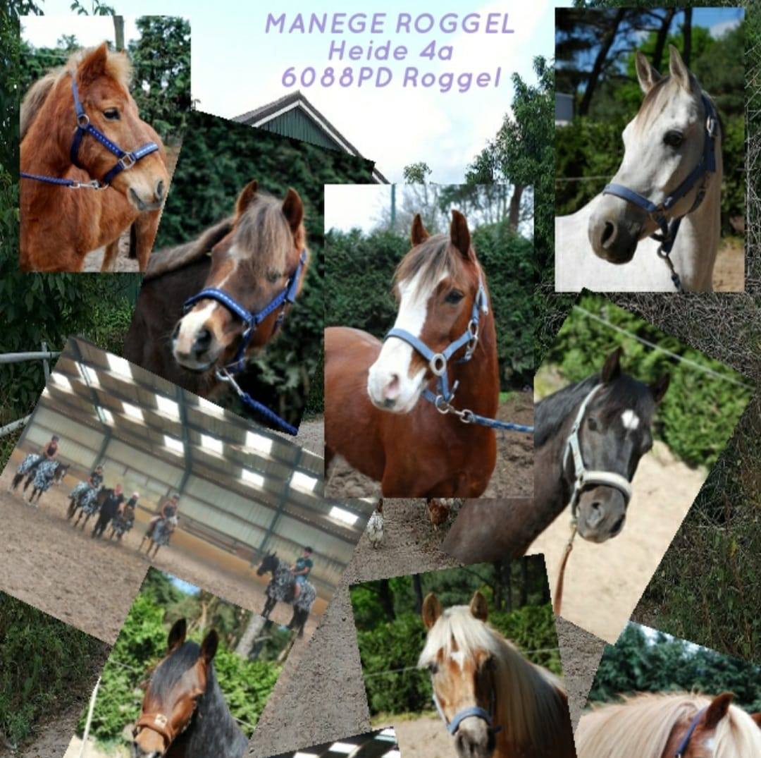 Manege Roggel | Roggel