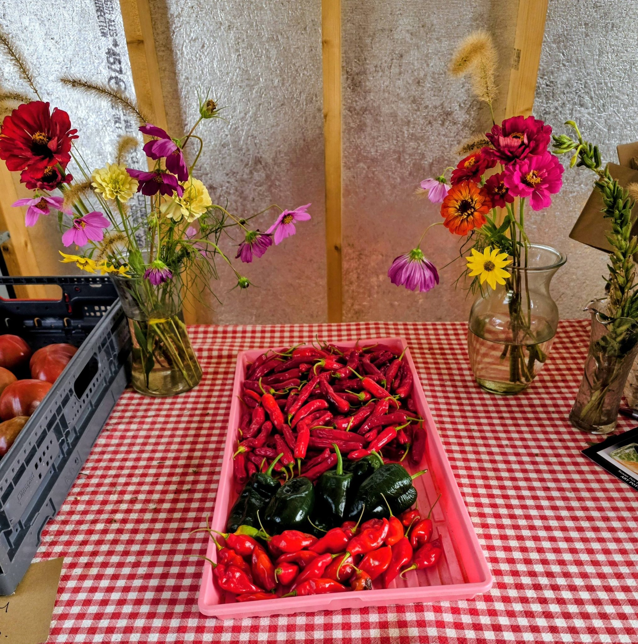Cooper Brothers Market Garden | Erma NJ