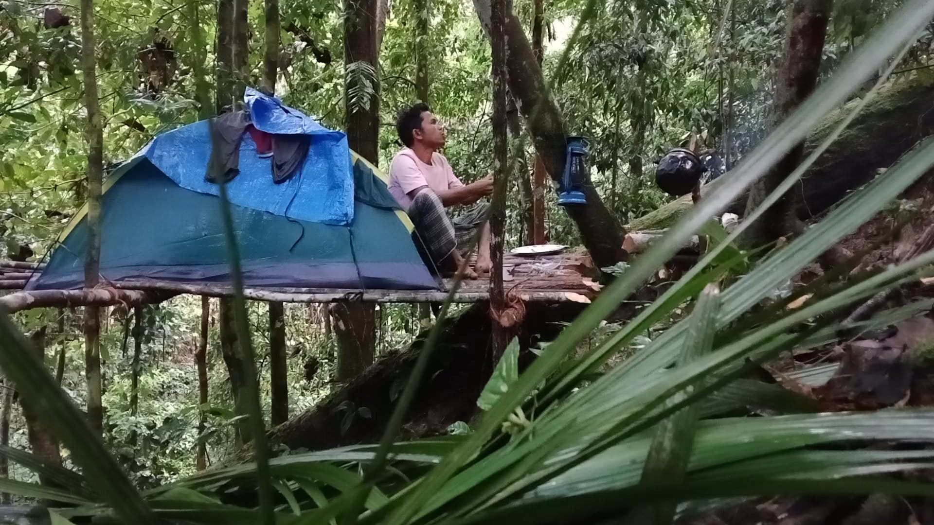 HUTAN RIMBA
