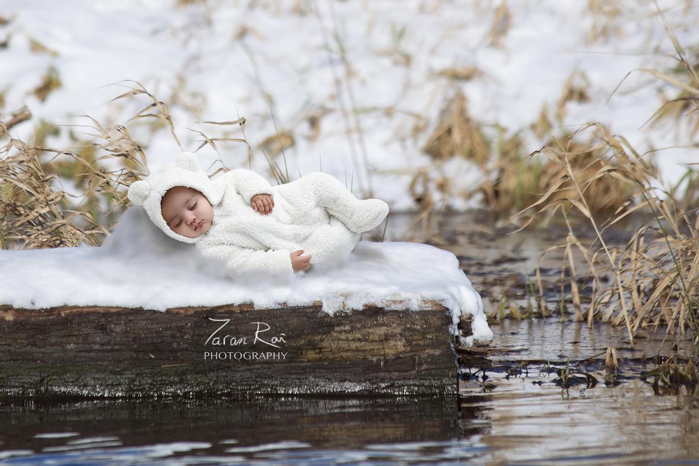 Taran Rai Photography