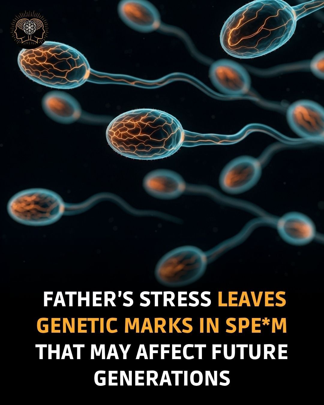 Mind Mirror - Stress leaves a legacy deeper than emotion.... | Facebook