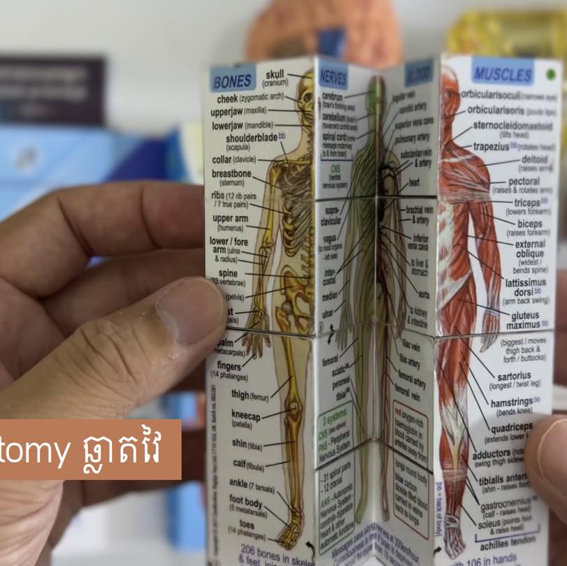 រៀនពេទ្យ - 🫀🫁 ប្អូនៗថ្នាក់ឆ្នាំមូលដ្ឋាន ទើបតែរៀនគូសរូបកាយវិភាគវិទ្យា ...