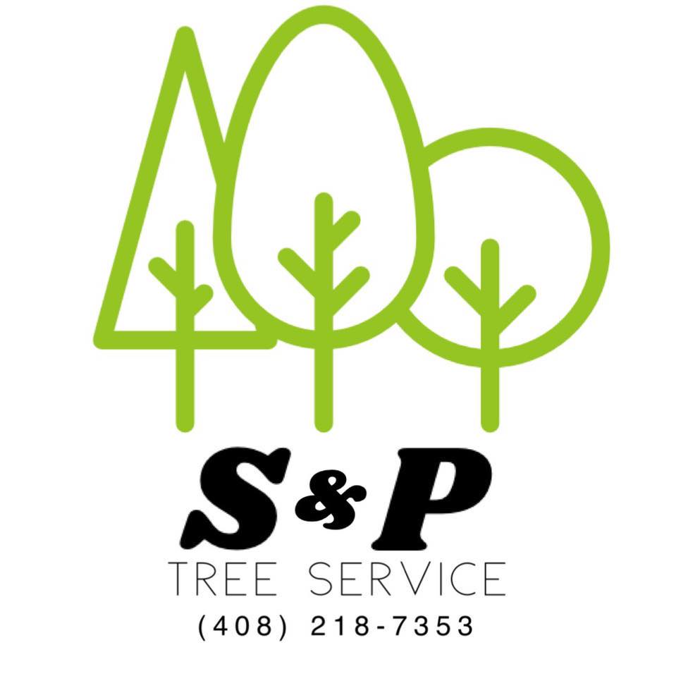 S & P Tree Service | San Jose CA