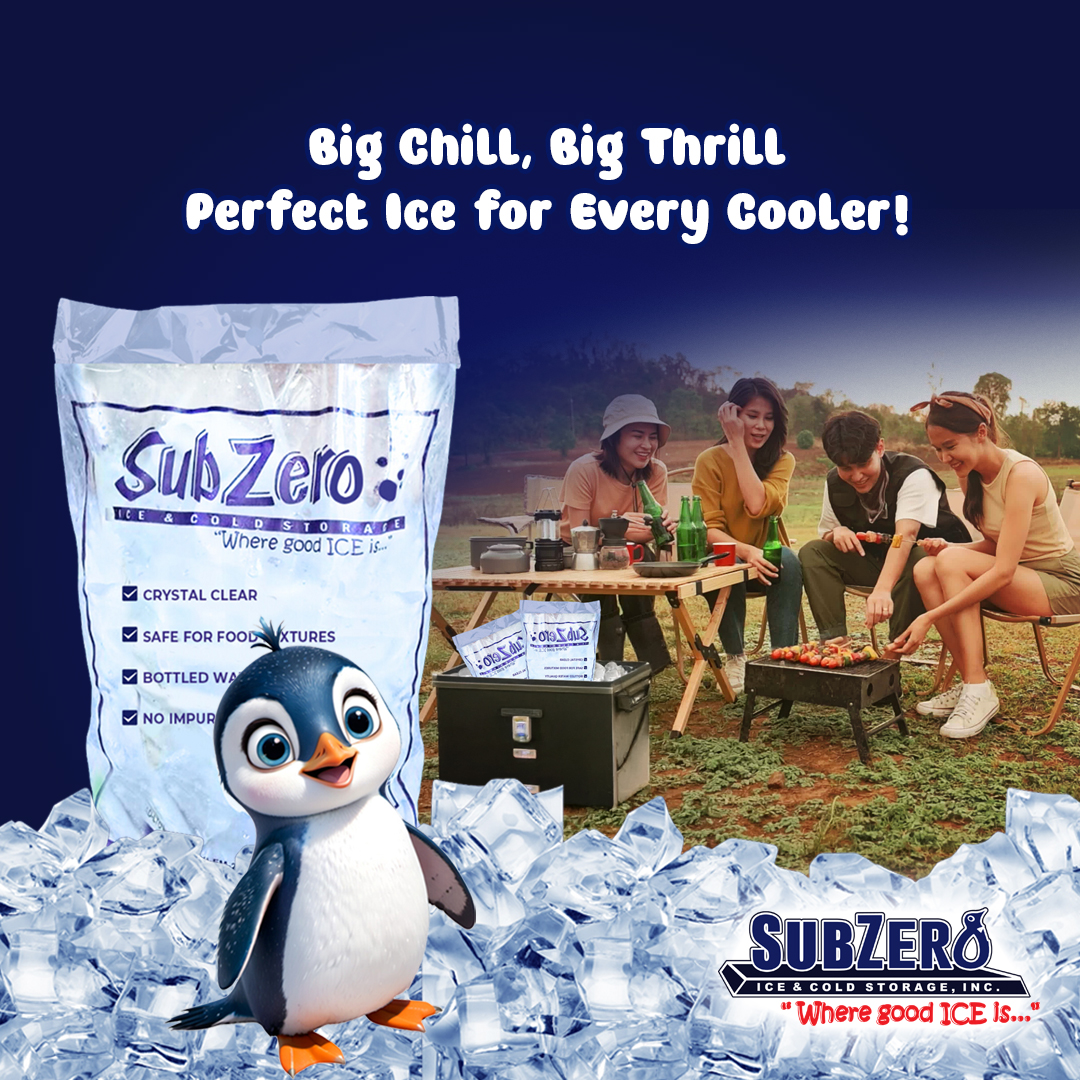 SubZero Ice & Cold Storage, Inc. | Davao City