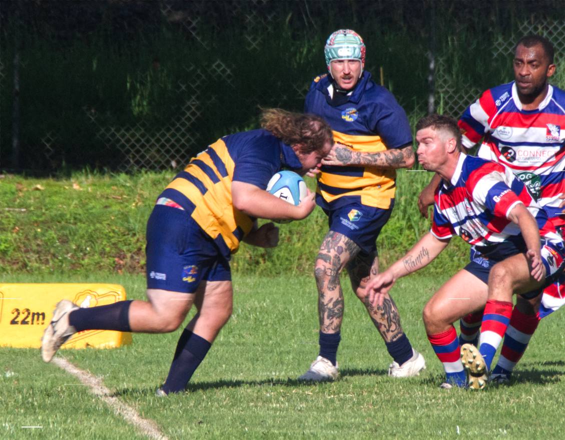 Southern Cross University Gold Rats