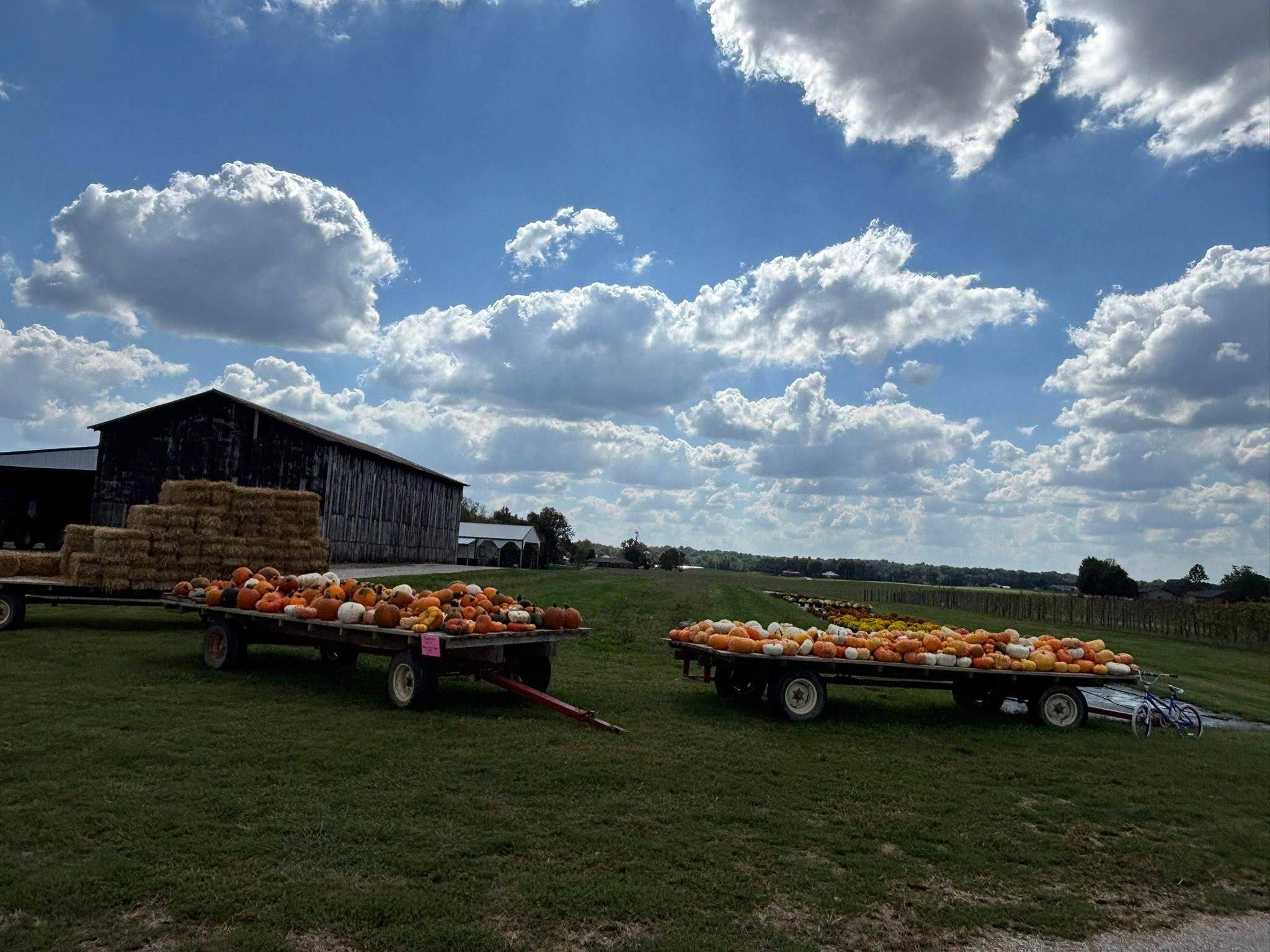 Stephen Farms & Garden | Owensboro KY
