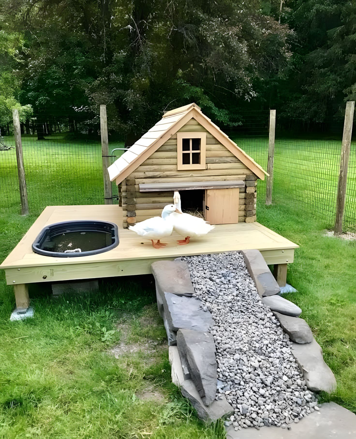Angelina - Small Log Cabin Duck House with Pond and Gravel Ramp. # ...