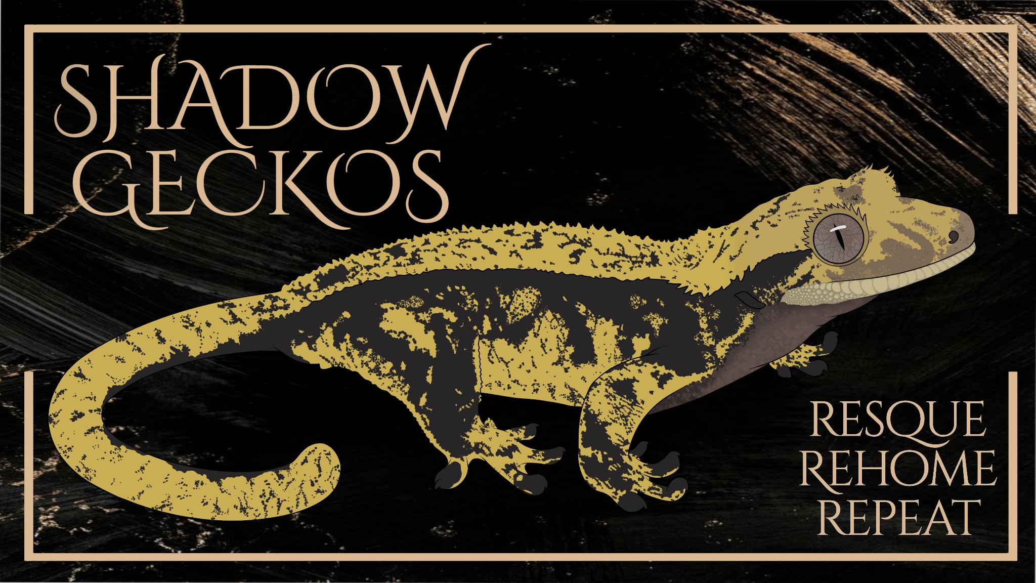 Shadow Geckos