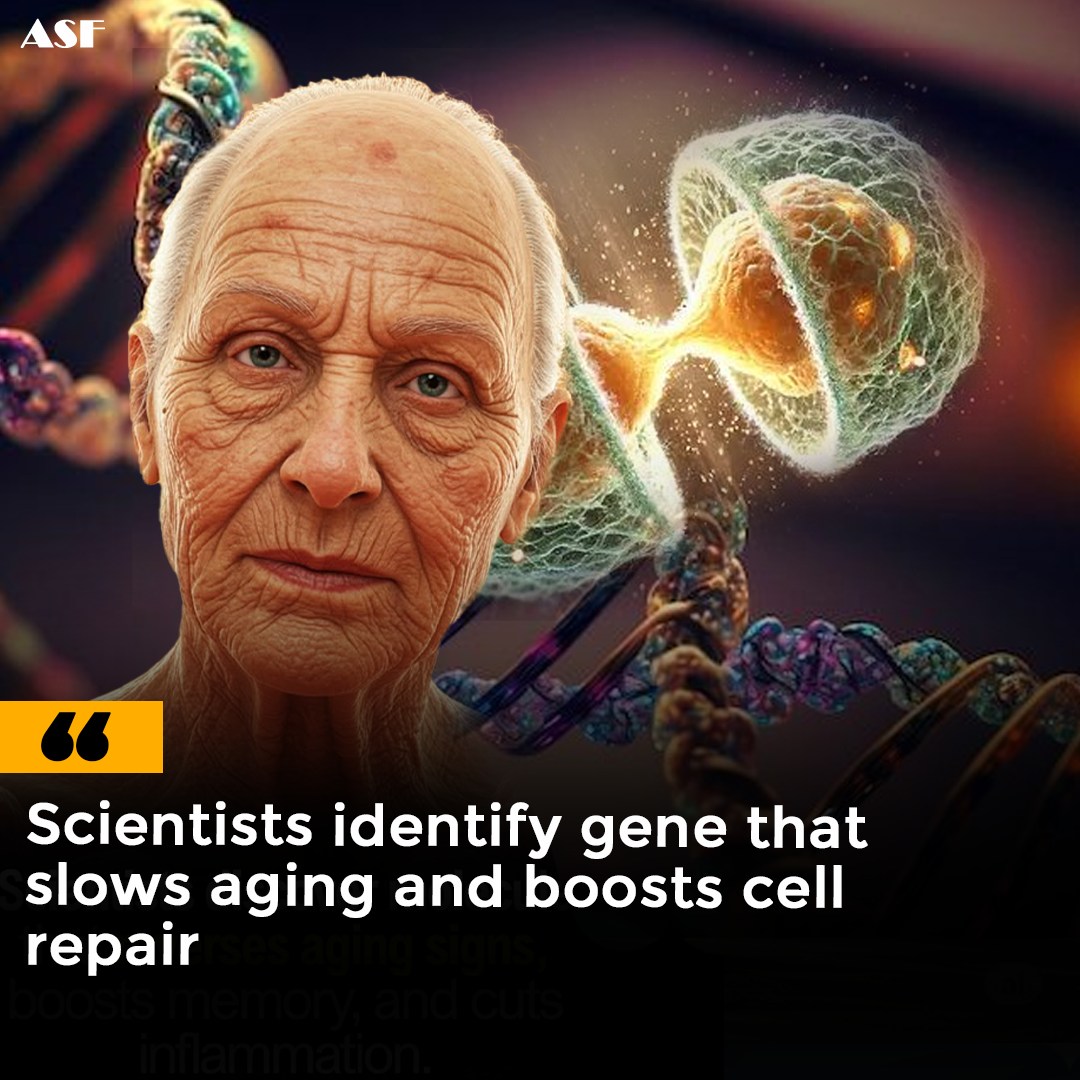 ghk-cu long-term use tolerance diminishing returns Your body has an incredible ability to heal itself ... until it doesn't. New UCSF research reveals that shifts in gene activation make fibroblasts — your body's repair cells — slow down BPC-157 Side Effects: Kidney, Stress Management Weight:200g