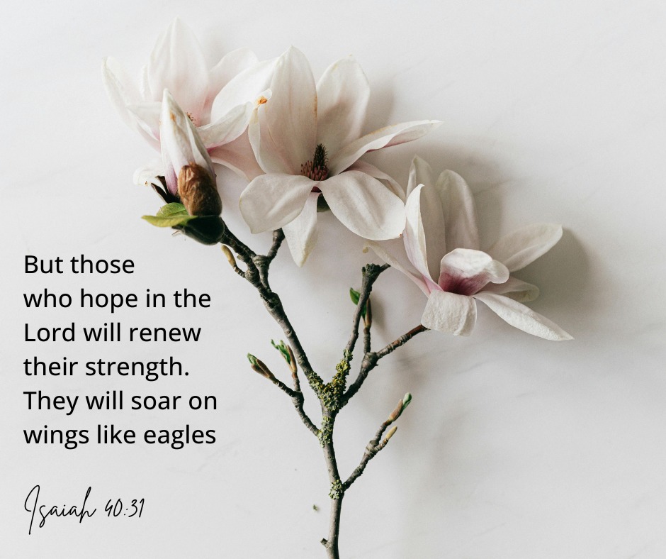 Wade Baptist | Facebook