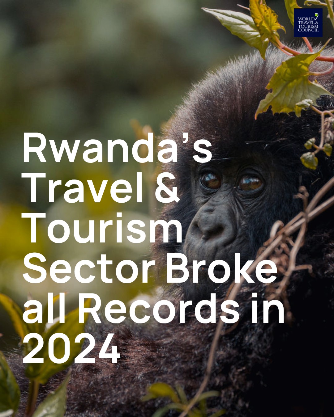 📍🇷🇼 Rwanda’s Travel &... - World Travel & Tourism Council | Facebook