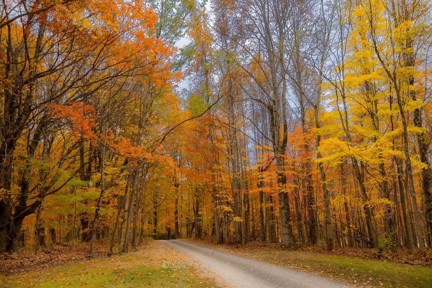Sylvie's - East Tennessee today. October 2025. . . #tennessee # ...