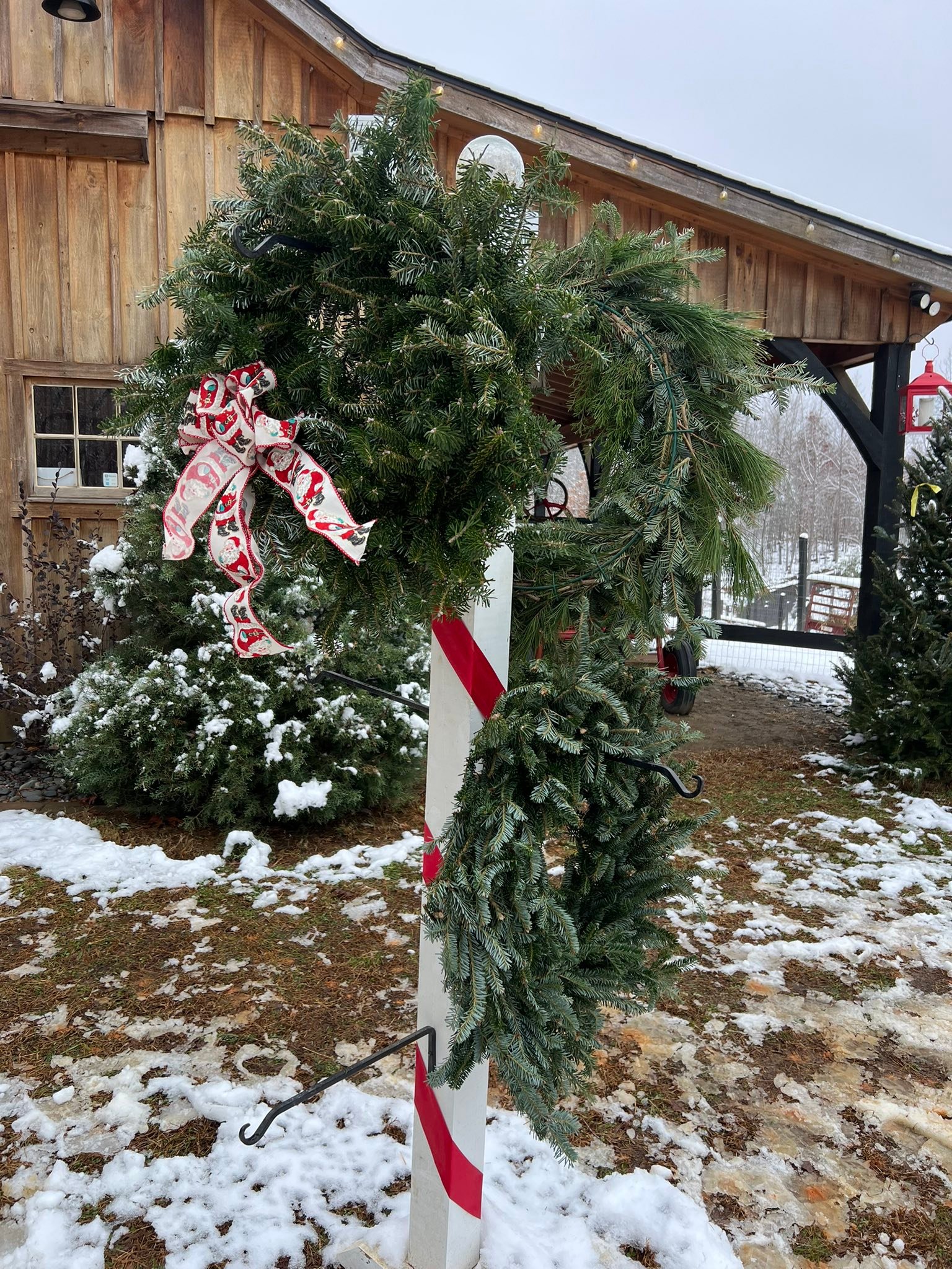Tara Noel Christmas Tree Farm | Amelia Court House VA