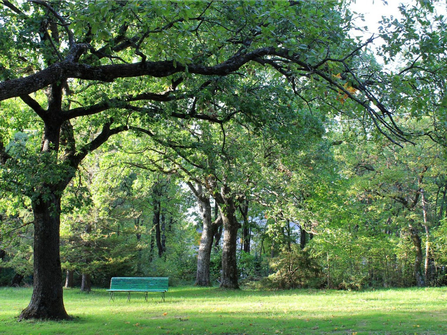 Top Tier Tree Care LLC | Jefferson OR