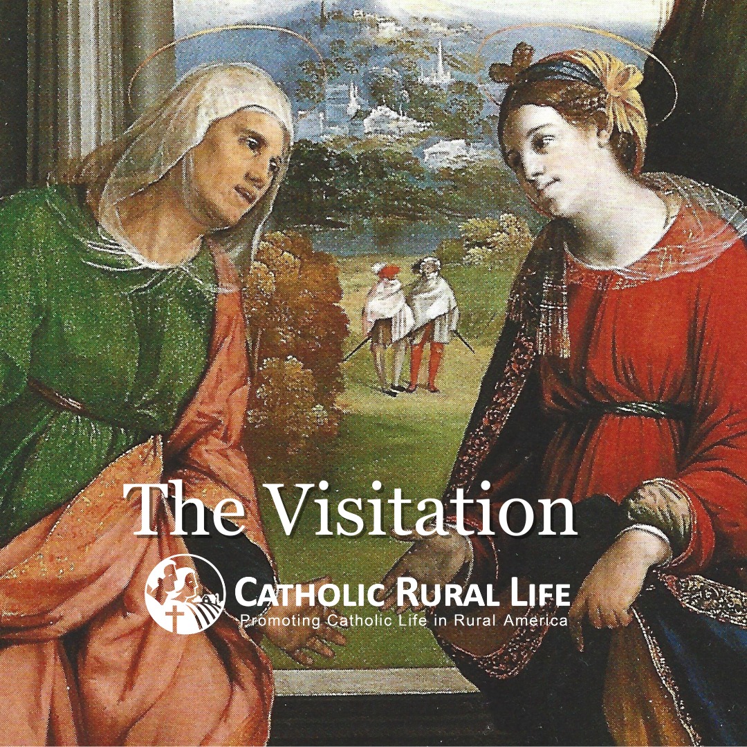Catholic - Happy Feast of the Visitation! In this joyful meeting, Mary ...