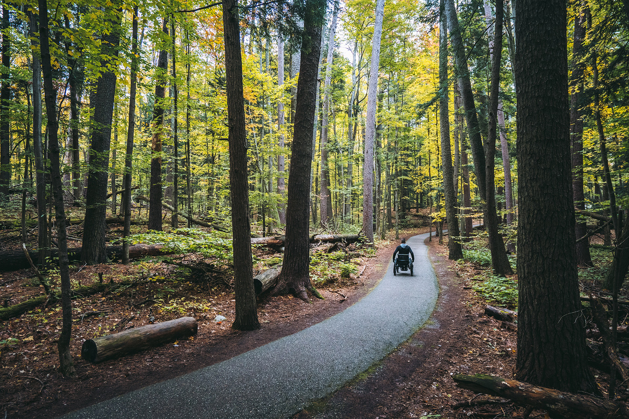 Wheels in Motion