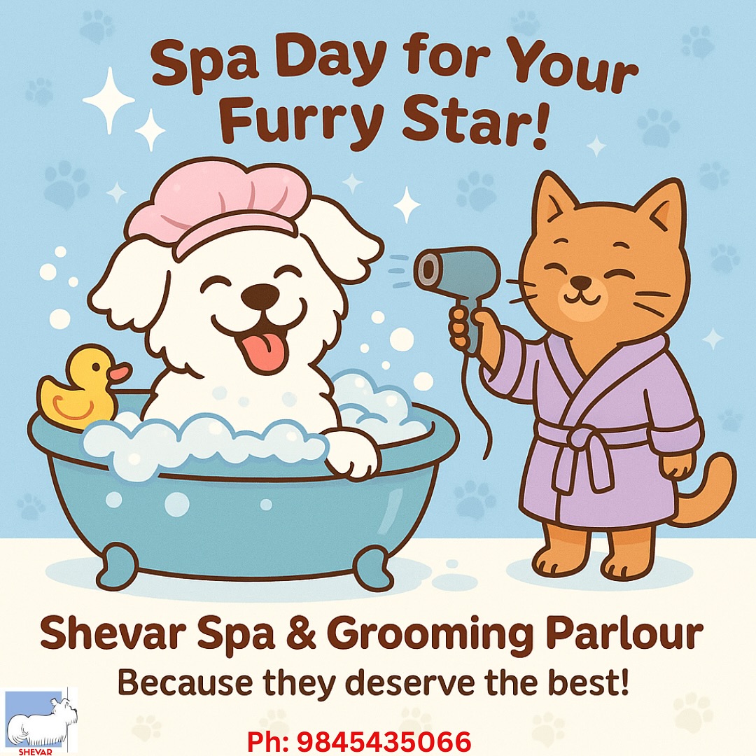 shevar spa and grooming parlour for pets. | Bangalore