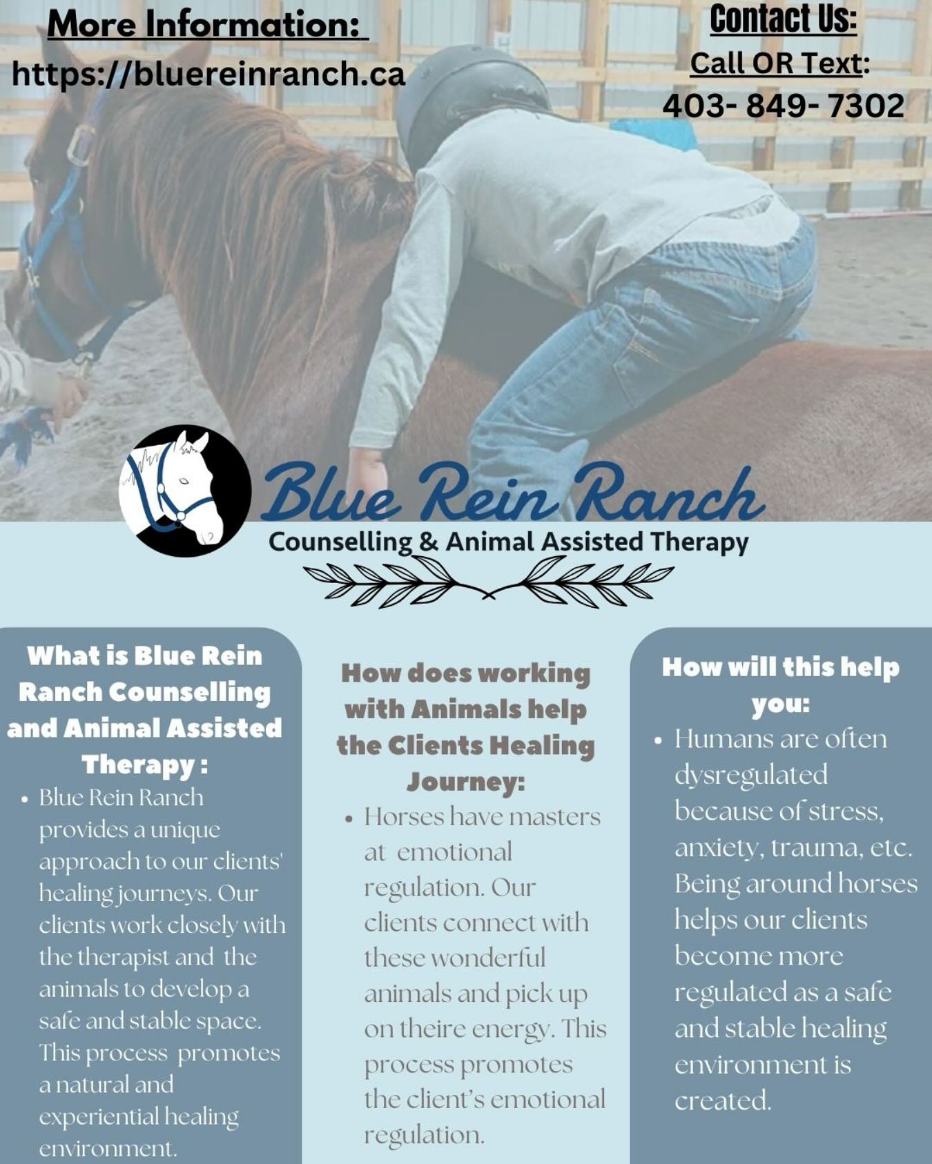 Blue Rein Ranch Counselling & Animal Assisted Therapy | Fort Macleod AB