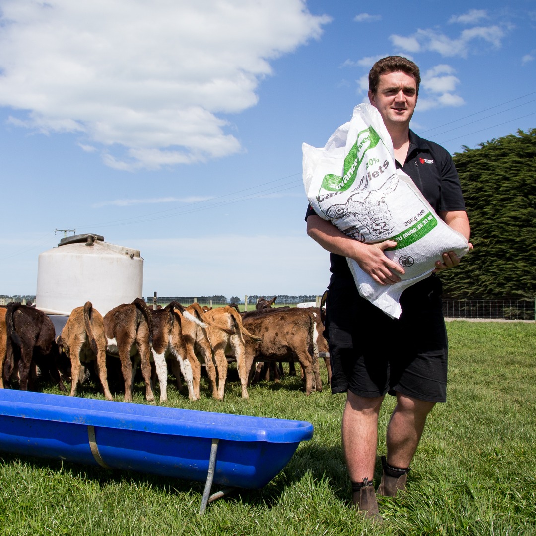 Ruralco - Calving season is here – are you ready? 🐄 We know it’s a ...
