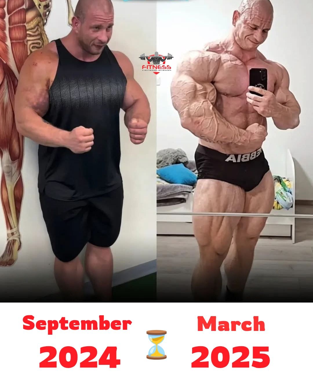 Fitness - From bulk to beast mode in just 6 months — discipline built ...