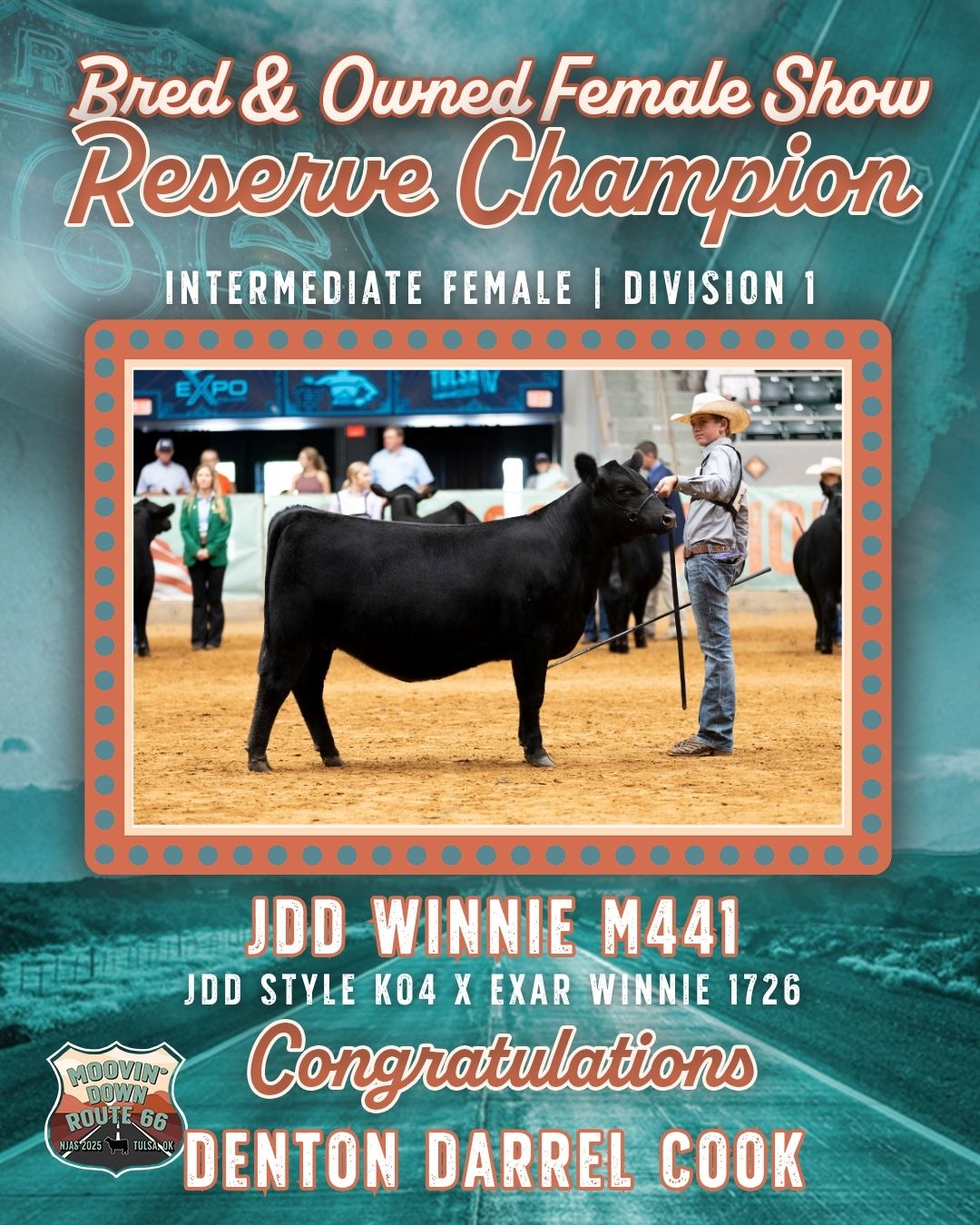 National - The Champion Bred and Owned Intermediate Female Division 1 ...