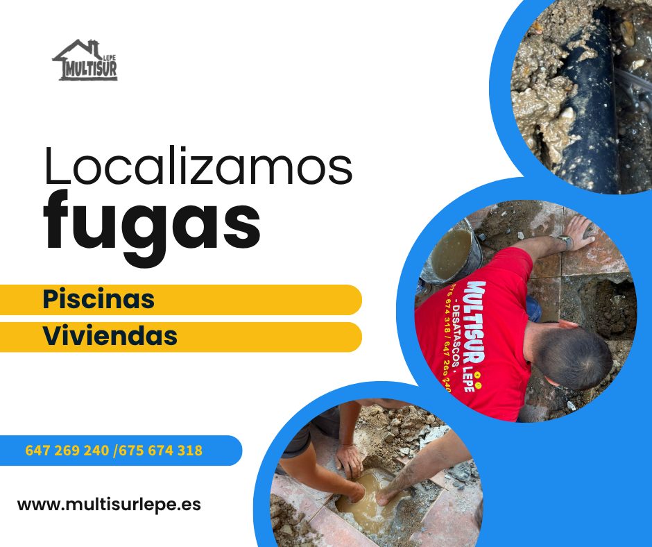 Multisur lepe