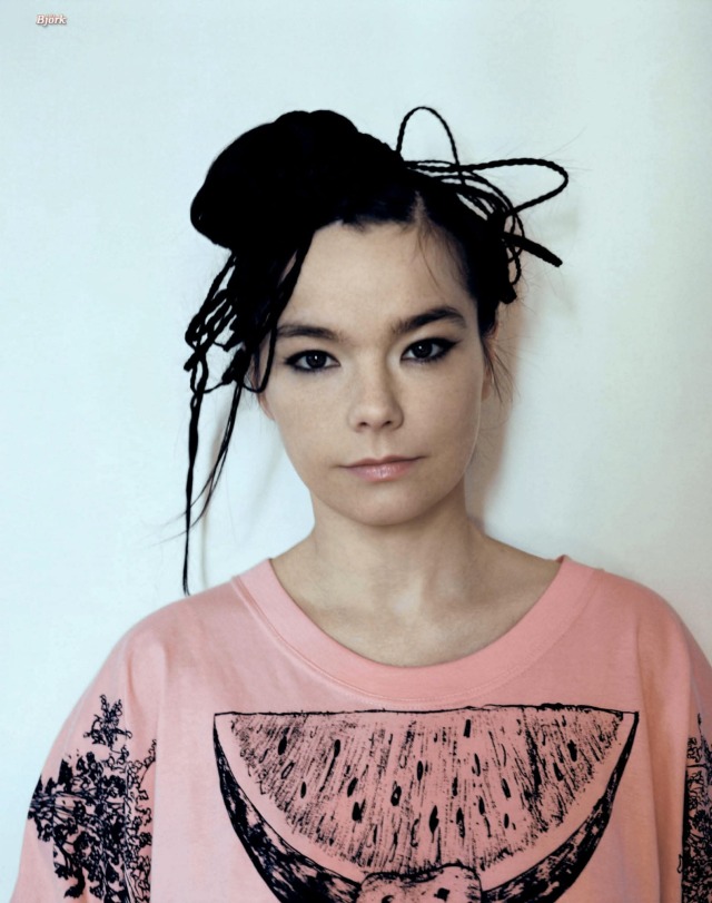 額装品/Bjork/ビョーク/Warren Du Preez2004/インテリア 額装品/Bjork