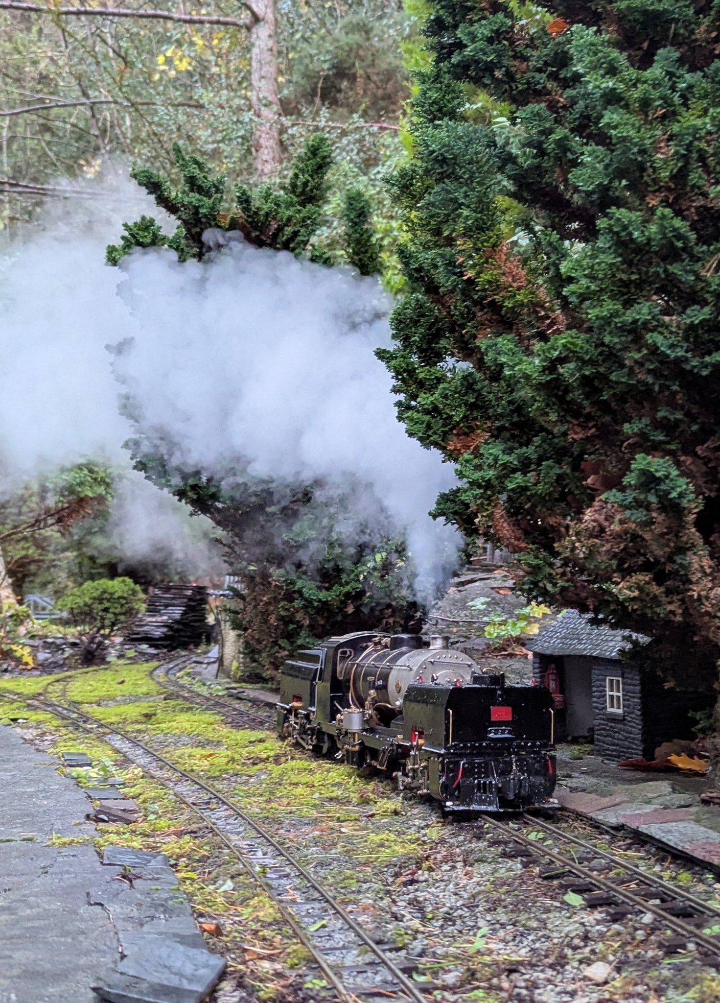 Upper Redcroft Light... - Upper Redcroft Light Railway